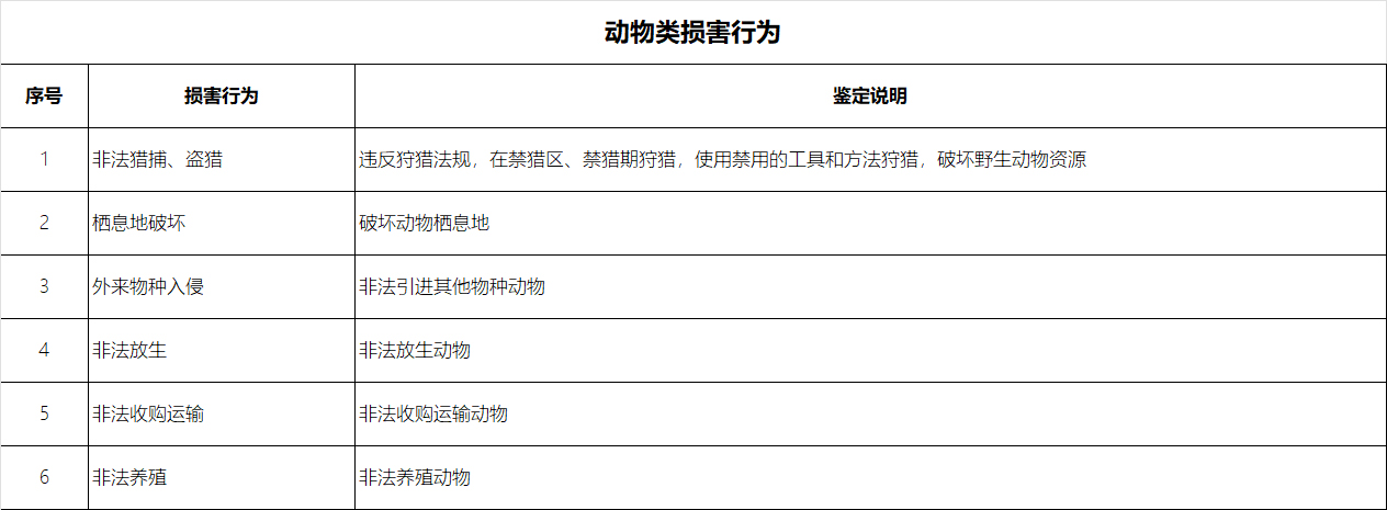 未标题-4.jpg